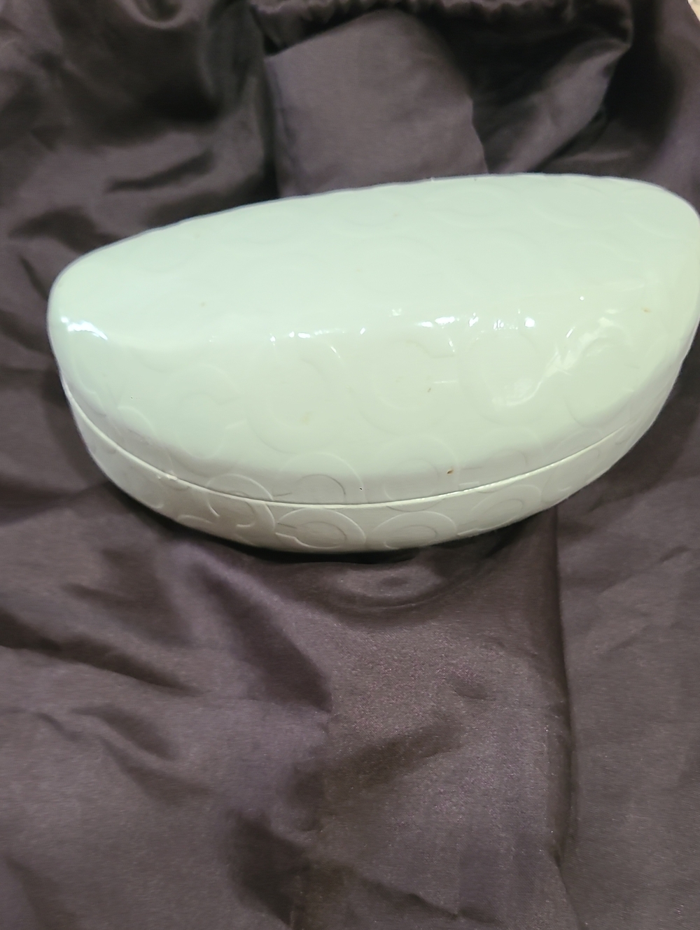 Coach Mint Green Sunglasses Case
